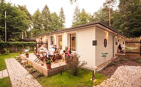 Little Suite Apartments